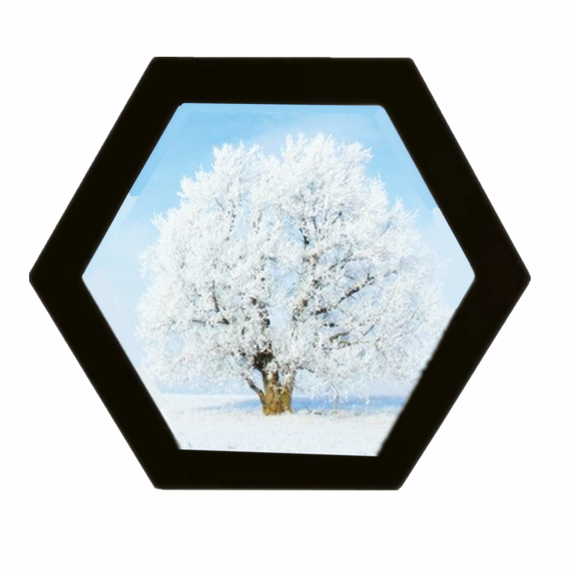 alblinsy Hexagon Shaped Photo Frame Wooden Wall Hanging Picture Frames for Home Office Wall Decor, Simplicity Wall Gallery Artif