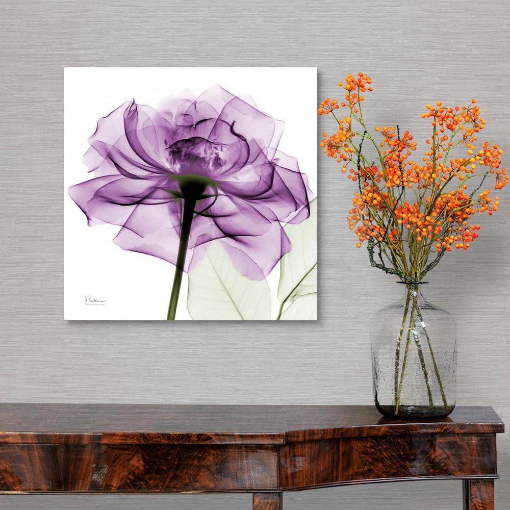 Canvas On Demand Purple Rose X-Ray Photograph Canvas Wall Art Print By Albert Koetsier, Home Decor, Artwork, 16''X16''