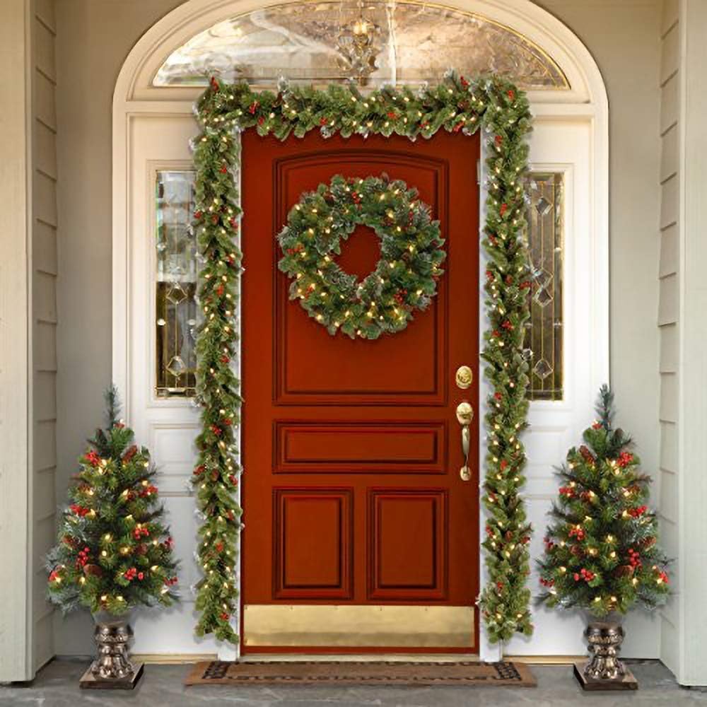 NATIONAL Tree COMPANY 24 Inch Crestwood Spruce Wreath with Silver Bristles, Cones, Red Berries and 50 Battery Operated Soft Whit