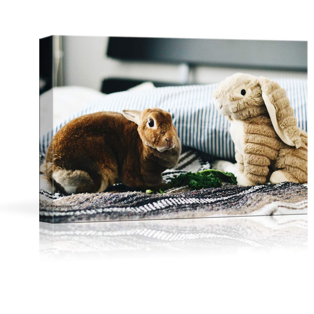 Nwt Custom Canvas Prints With Your Photos For Pet/Animal, Personalized Canvas Pictures For Wall To Print Framed 24X36 Inches