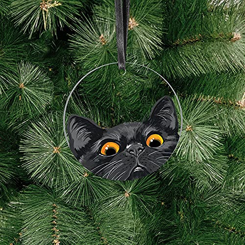 WIRESTER Hanging Ornaments for Christmas Tree Holidays, Party, Car, Home, Office Decoration, Large 3 inch Acrylic Ready to Hang