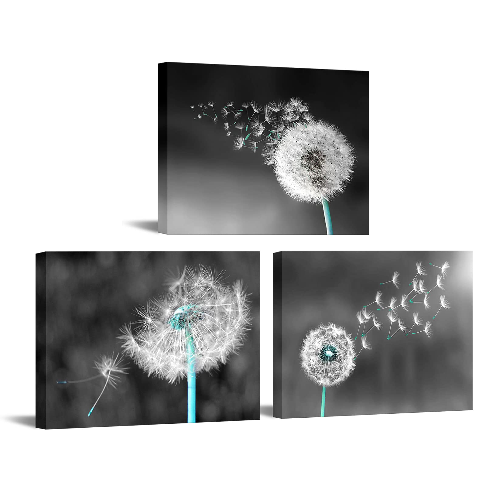 Apicoture Dandelion Flower Wall Art - Black And White Dandelion Canvas Print Arts For Modern Home Farmhouse Living Room Wall Dec