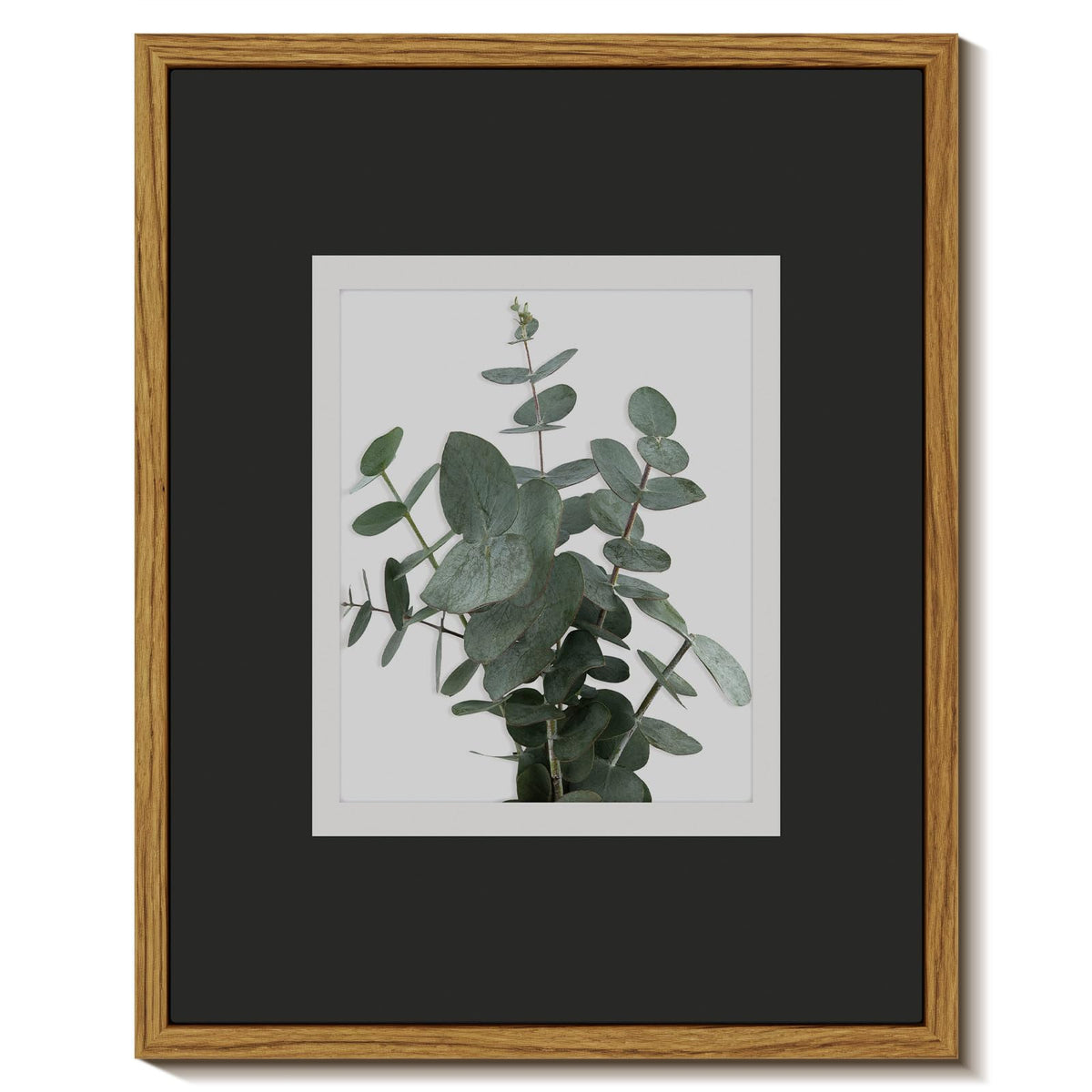 Insimsea Framed Wall Art For Living Room Bathroom Decor Botanical Canvas Prints Modern Plant Pictures Wall Decor Farmhouse Eucal