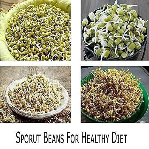 Wazdorf Sprout Maker - Plastic Grocery Container Sprouted Grains Seeds Dal Channa Chole Ragi Organic Sprouting Jar, For Sprouted