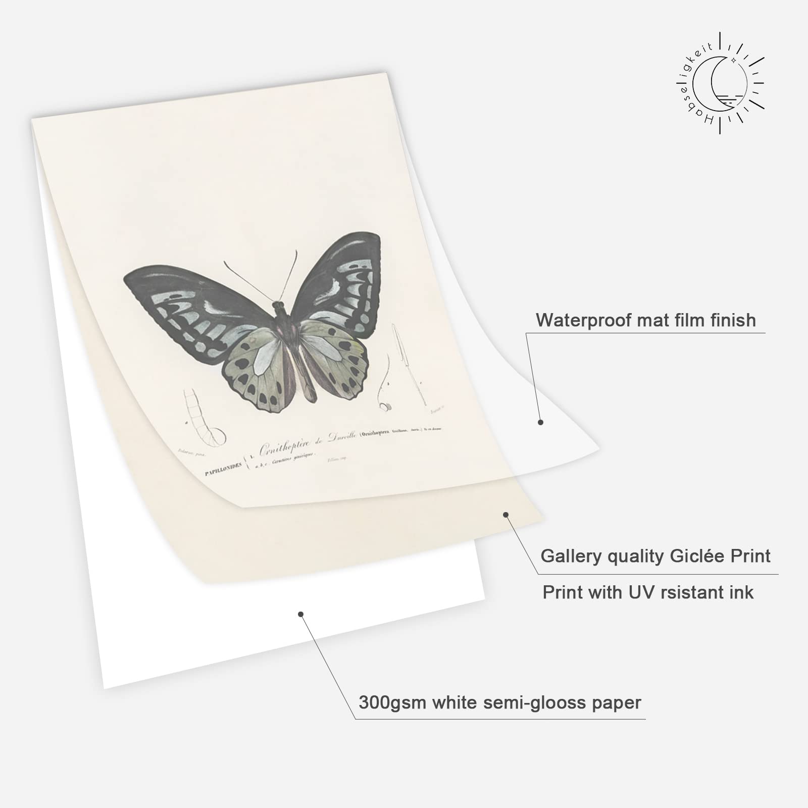 Habseligkeit Butterfly Master Wall Art Prints, Abstract Matisse Wall Art Exhibition Posters, Vintage Wall Art Prints, Retro Room