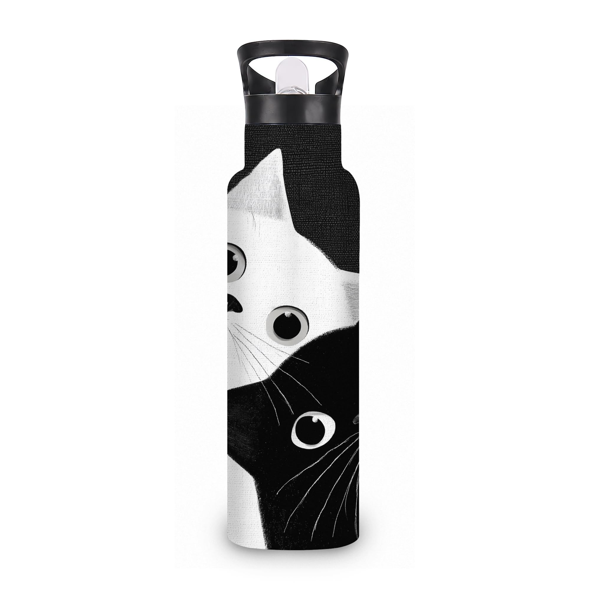 ICRICR Insulated Water Bottle,Two Cats 20 oz Stainless Steel Water Bottles with Straw Lid,Black White Leak Resistant Double Insu