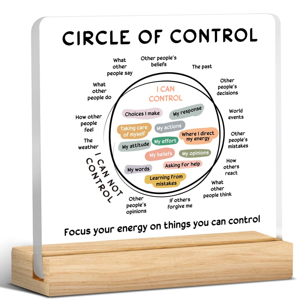 Mental Health Decor, Therapy Office Gifts, Therapy Office Decorations, Therapist Gifts for Women Men, Things I Can Control Acryl
