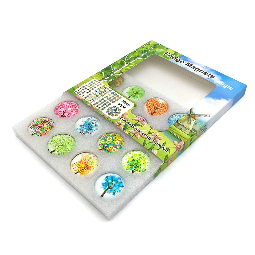 Aligle 16Pcs Beautiful Glass Refrigerator Magnets Fridge Stickers Funny For Office Cabinets Whiteboards Decorative Photo Abstrac