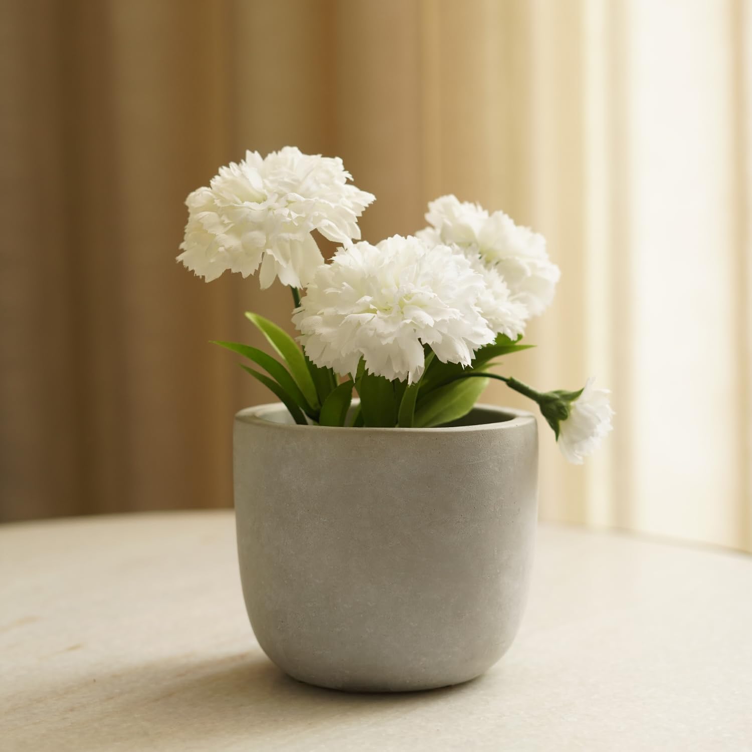 Pure Home + Living, Carnation In Cement Pot, White