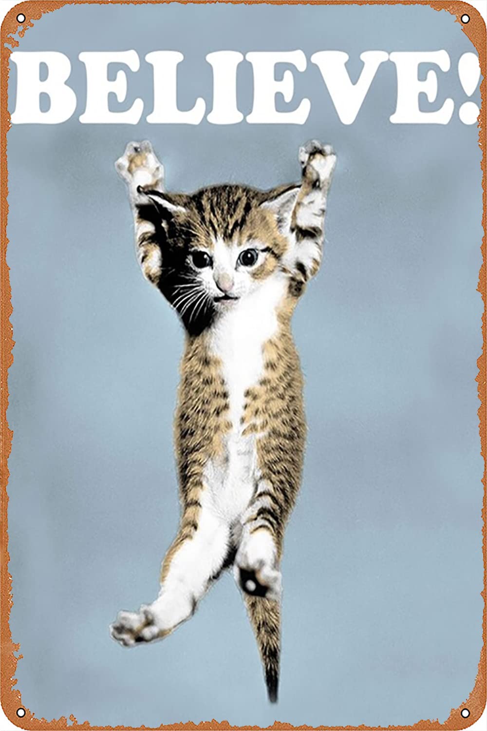 Believe Cat,Hang In There Cat Metal Tin Sign - Perfect Funny Motivational Poster For Home Or Office 12X8 Inch