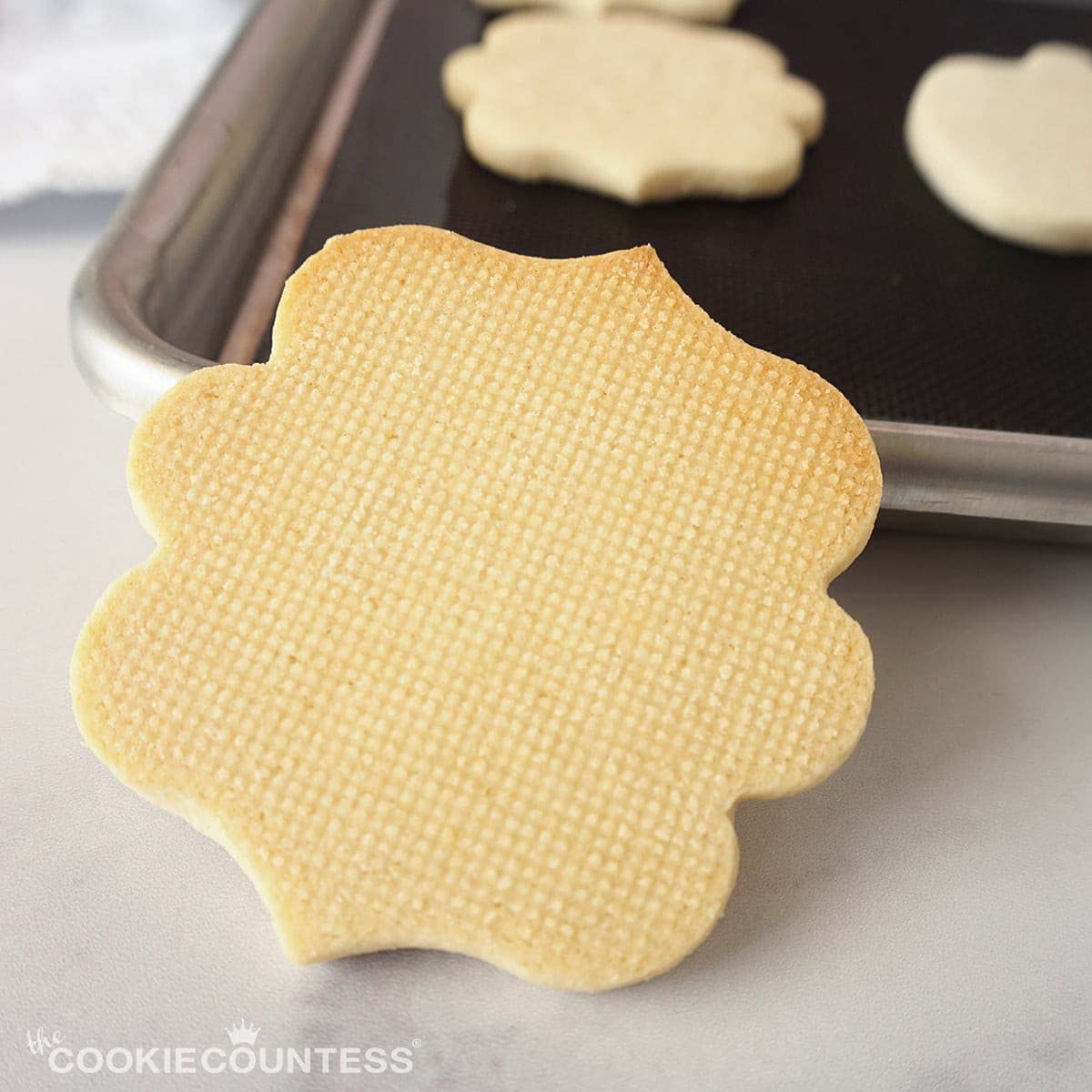 16.5 X 11.5 Mesh Non-Stick Baking Mats, Medium, Set Of 2, Fits What Is Commonly Called A Half Sheet Pan