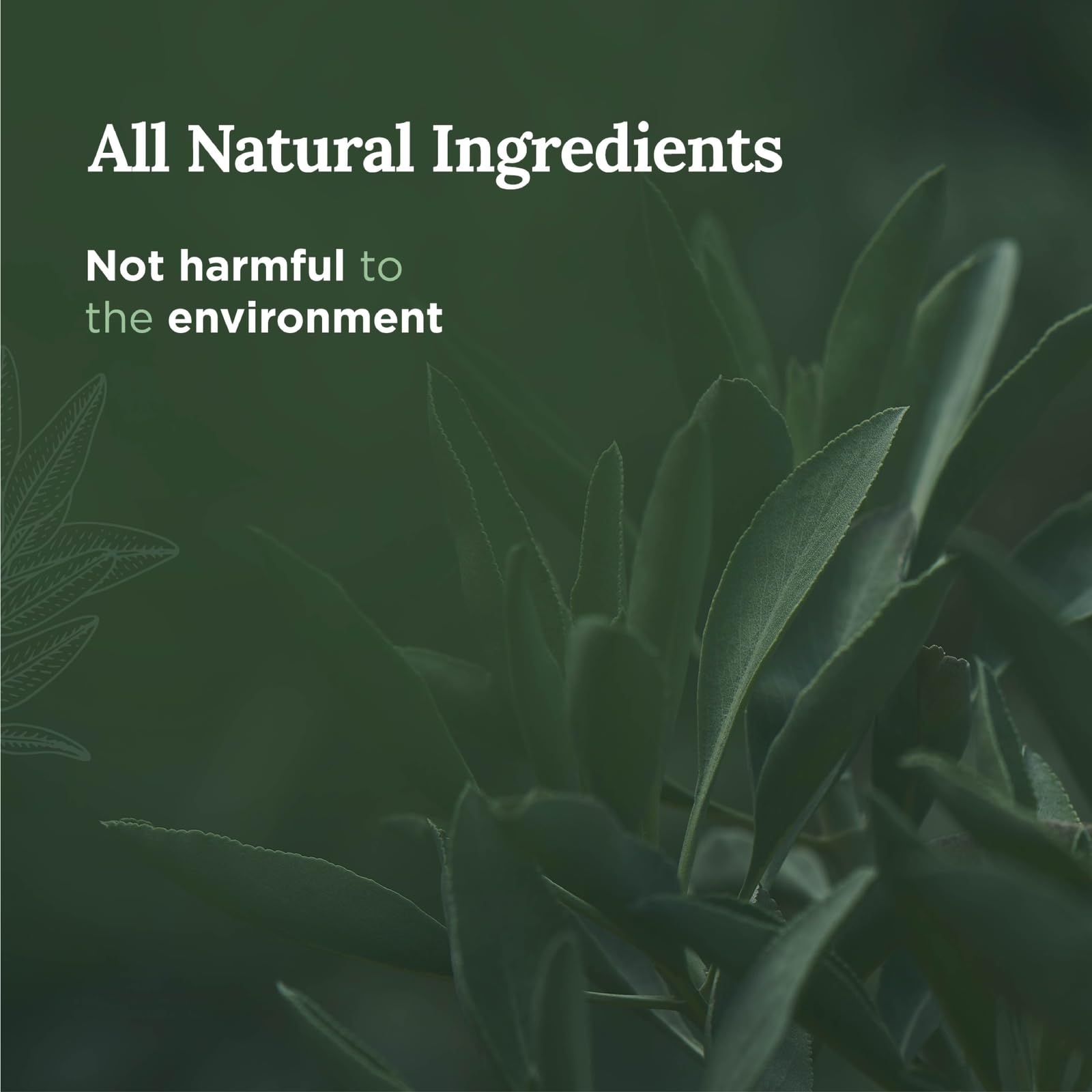 Magnificent 101 Healing Aromatherapy Candle in 6-oz. Tin Holder: 100% Natural Soy Wax with Palo Santo, Sandalwood & Lavender Ess