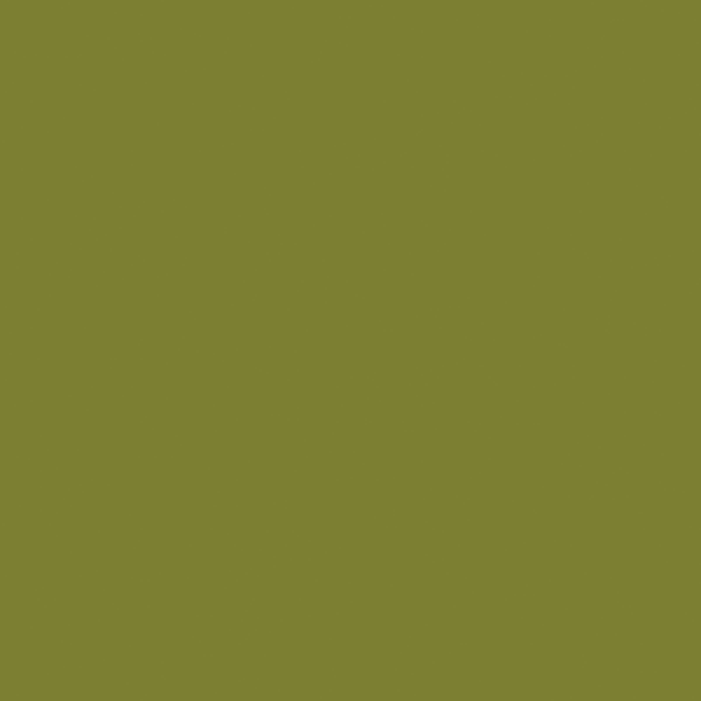 Rachael Ray Dinnerware Round & Square Platter, 14'', Green