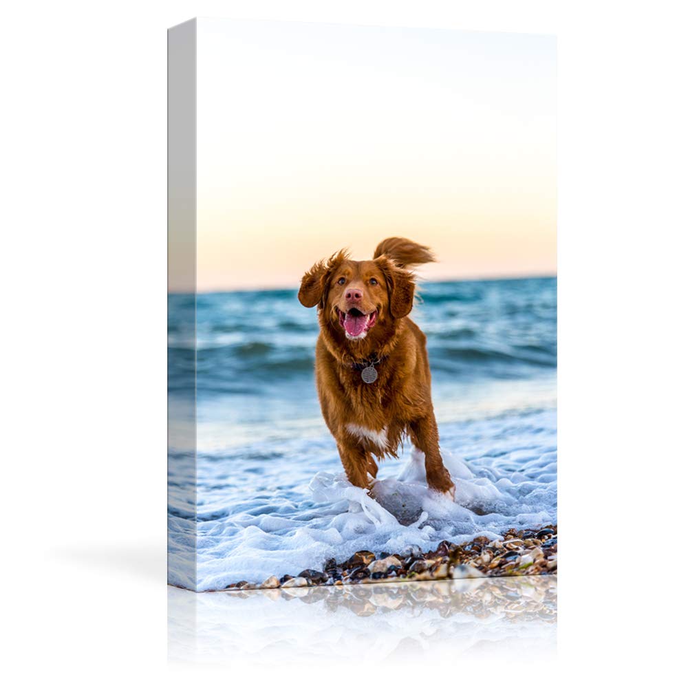 Nwt Custom Canvas Prints With Your Photos For Petanimal, Personalized Canvas Pictures For Wall To Print Framed 18X12 Inches