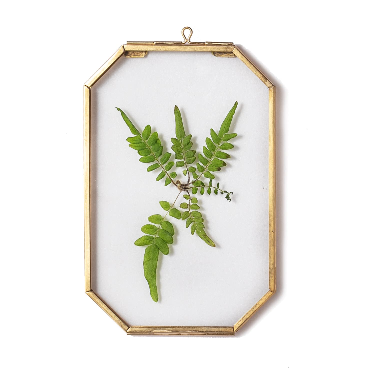NCYP 4 x 6 Small Glass Floating Frame with Chain for Artwork Photo, Picture, Pressed Dried Flowers, Plant Specimen - Home Wall H