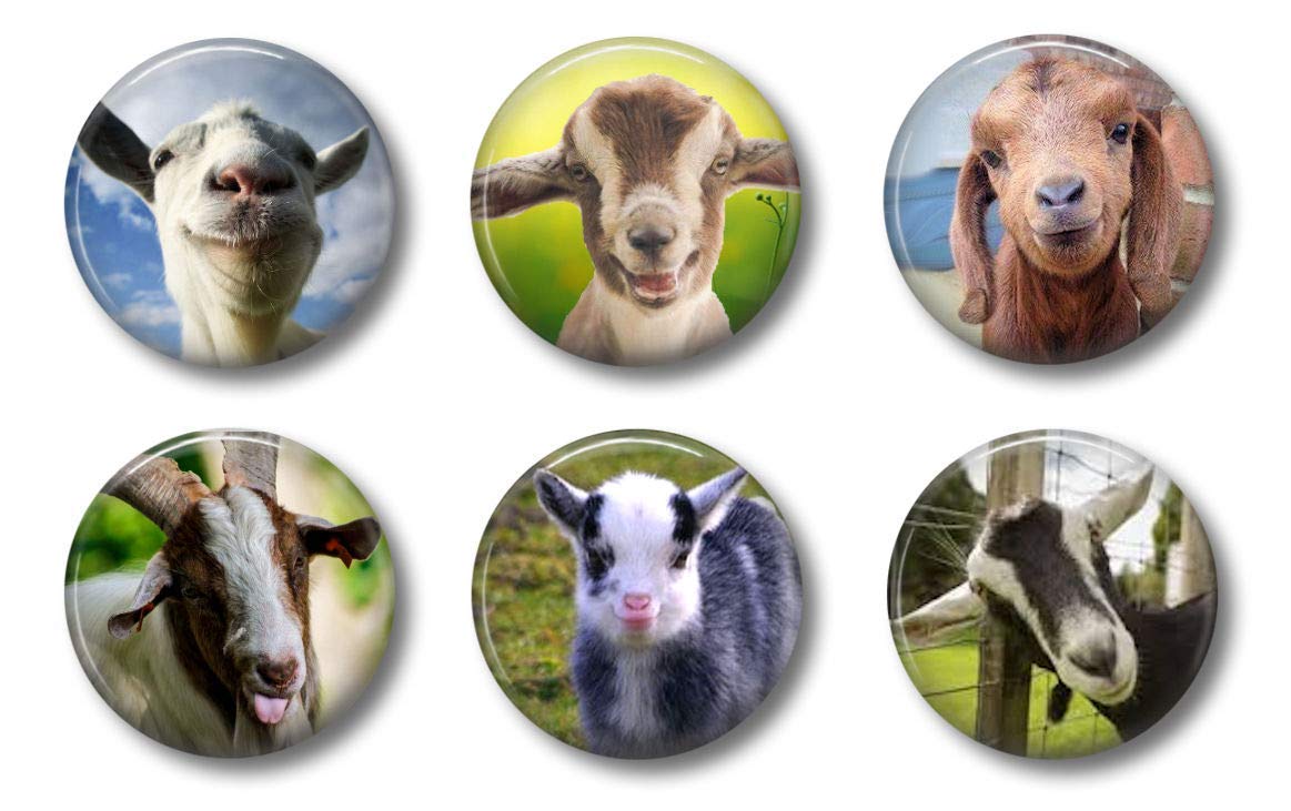 Goat Magnets Farmhouse Style Cute Locker Magnets For Teens - 1.75'' Set Of 6 - Whiteboard Magnets For Home School Or Office