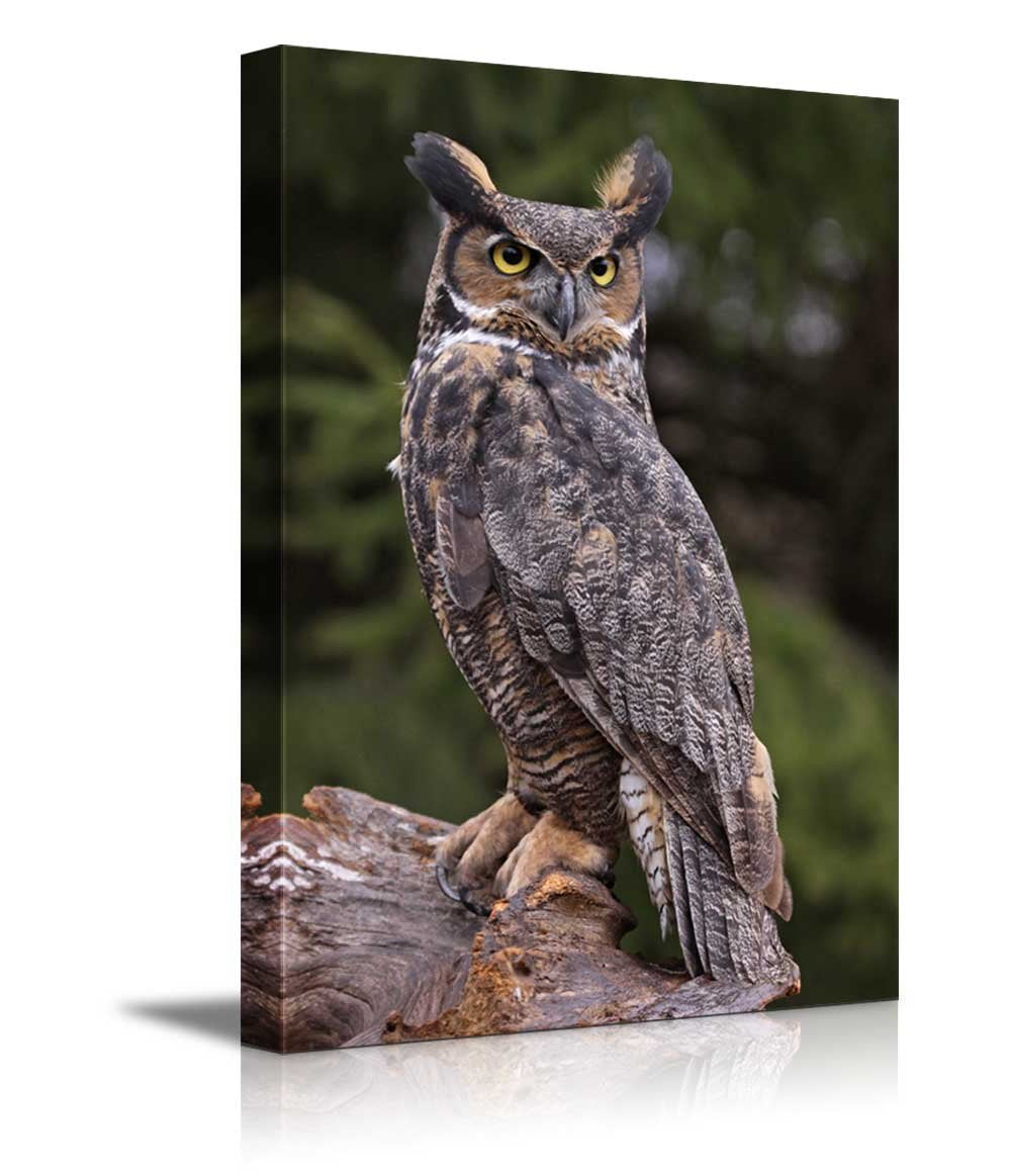 Canvas Prints Wall Art - A Great Horned Owl Sitting On A Tree Stump | Modern Wall Decor/Home Decoration Stretched Gallery Canvas