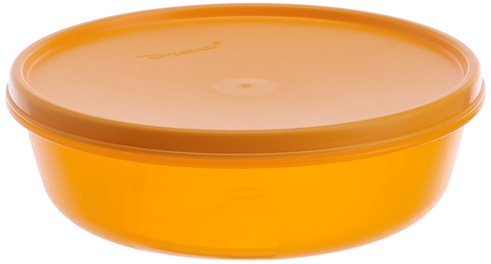 Tupperware Ss Modular Plastic Small Bowl, 1 Litre, BlueViolet