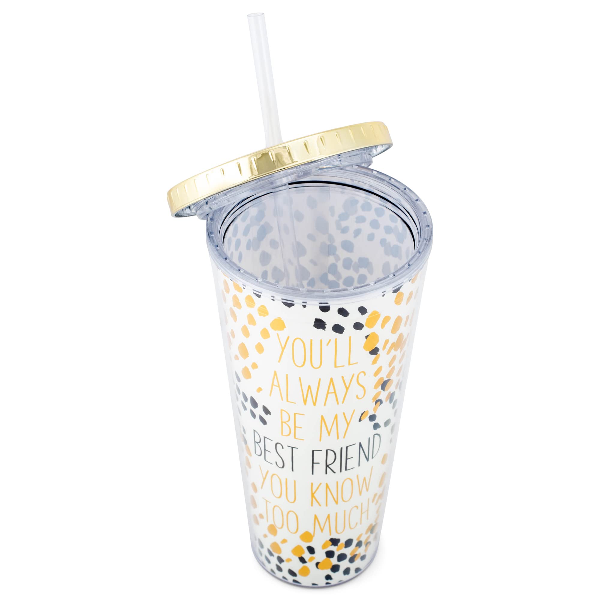 Mary Square Always Be My Best Friend Know Too Much 24 Ounce Acrylic Travel Tumbler With Straw