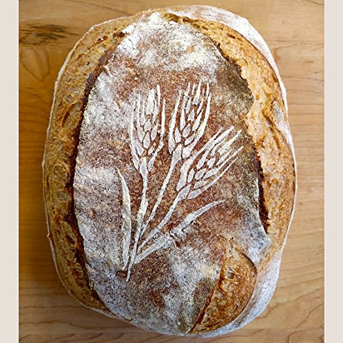 Breadtopia Bread Stencils (Set of 5) Decoration for Breads  Cakes  and Pies