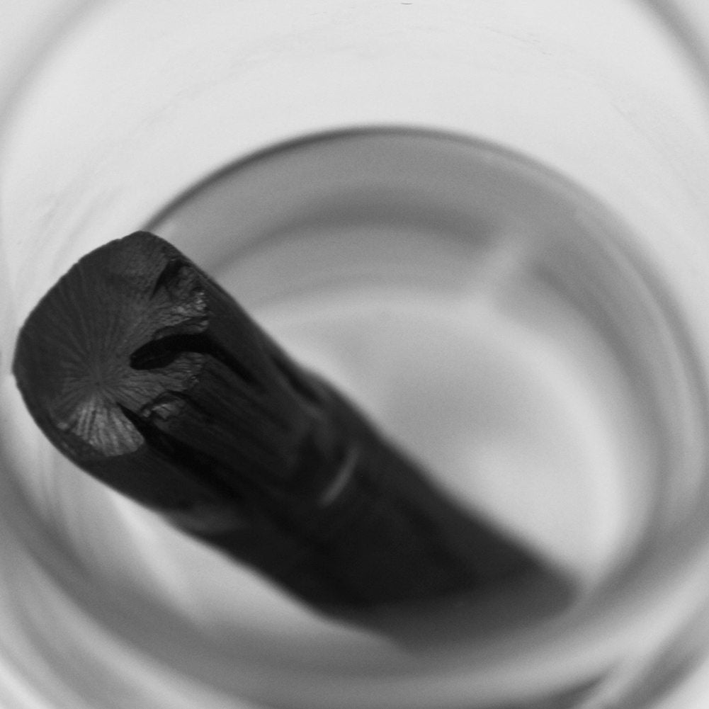 Binchotan Charcoal From Kishu, Japan - Water Purifying Sticks For Great-Tasting Water, 4 Sticks - Each Stick Filters Personal-Si