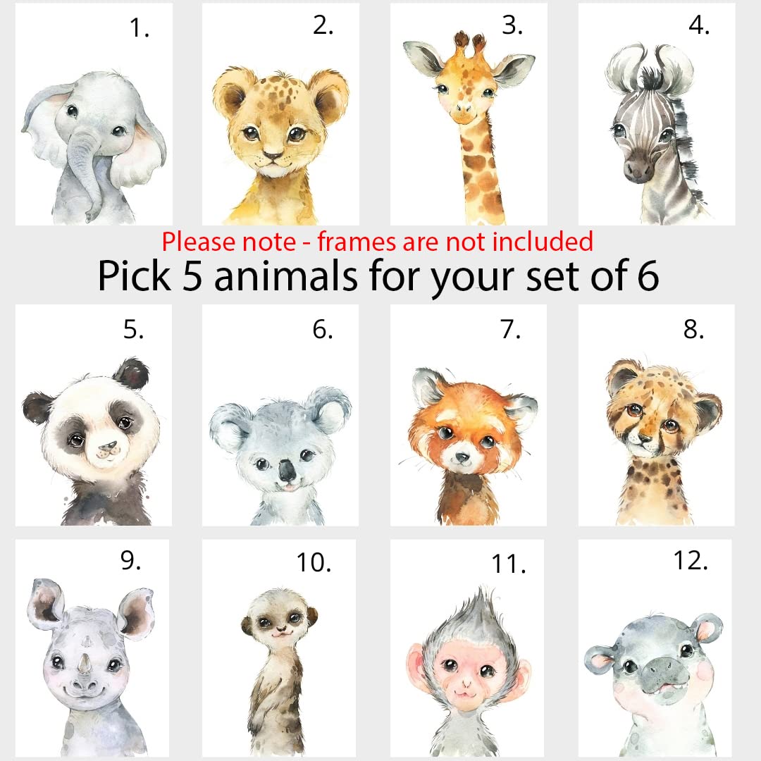 Personalized Safari Animals for Boy Girl Nursery  Set of 6 Unframed Bedroom Poster Prints  Personalized Name Blue Green Yellow  Giraffe Elephant Lion Panda (11x14)