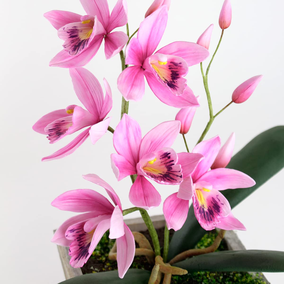 Flower Pro Ultimate Orchids Silicone Molds & Veiner Set. Makes 5 Orchids: Dendrobium, Vanda, Oncidium (Dancing Ladies/Butterfly)
