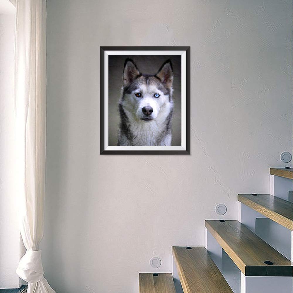 Ezposterprints - Upload Your Image/Photo - Custom Personalized Photo To Poster Printing, Wall Art Prints - (16 X 16 Inches)