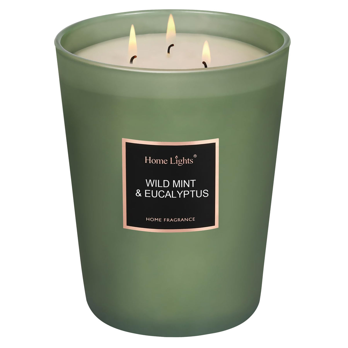 HomeLights Scented Candles, Candles for Home Scented, Large Jar Aromatherapy Candles, Natural Soy Wax, 130 Hours Long Burning Ca