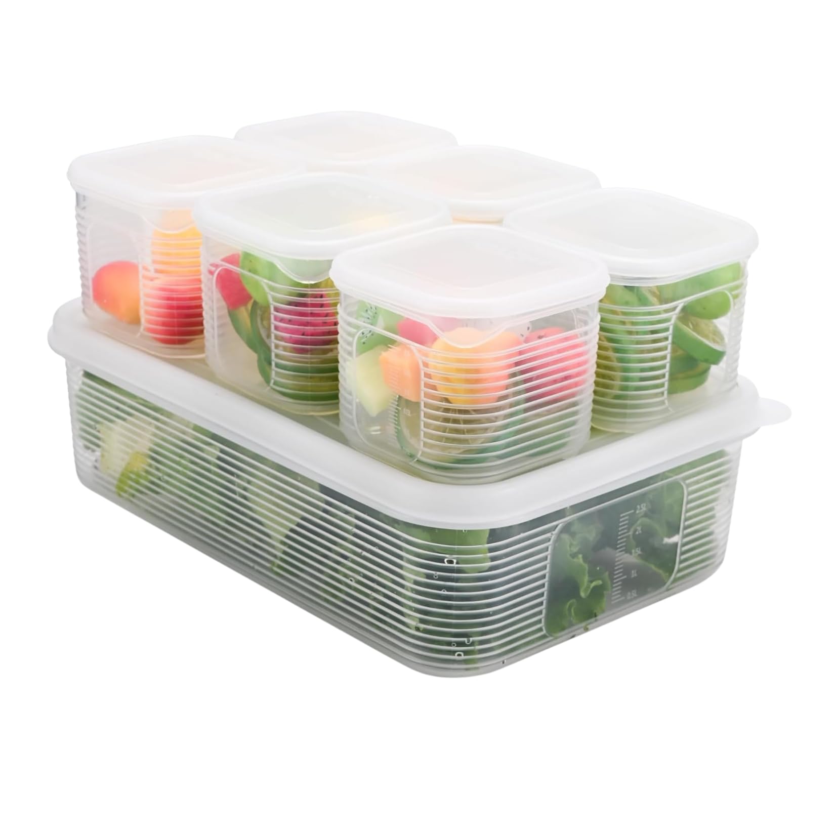 Aryamurti Refrigerator Food Storage Container With Lid, Clear Plastic, 6 Removable Small Boxes, Rectangular, Airtight, Reusable 
