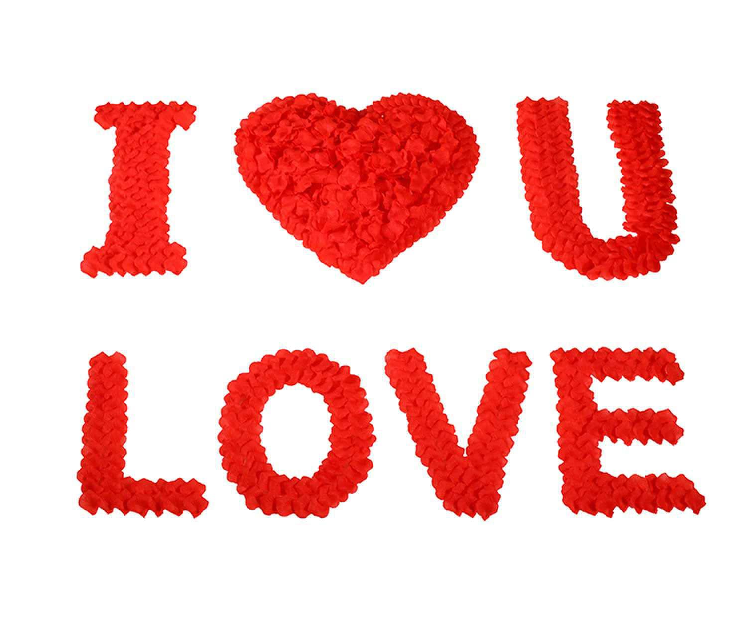 CODE FLORIST 1500 PCS Red Silk Rose Petals for Valentines Day,Romantic Night,Wedding,Proposal Anniversary Flower Decorations(Se
