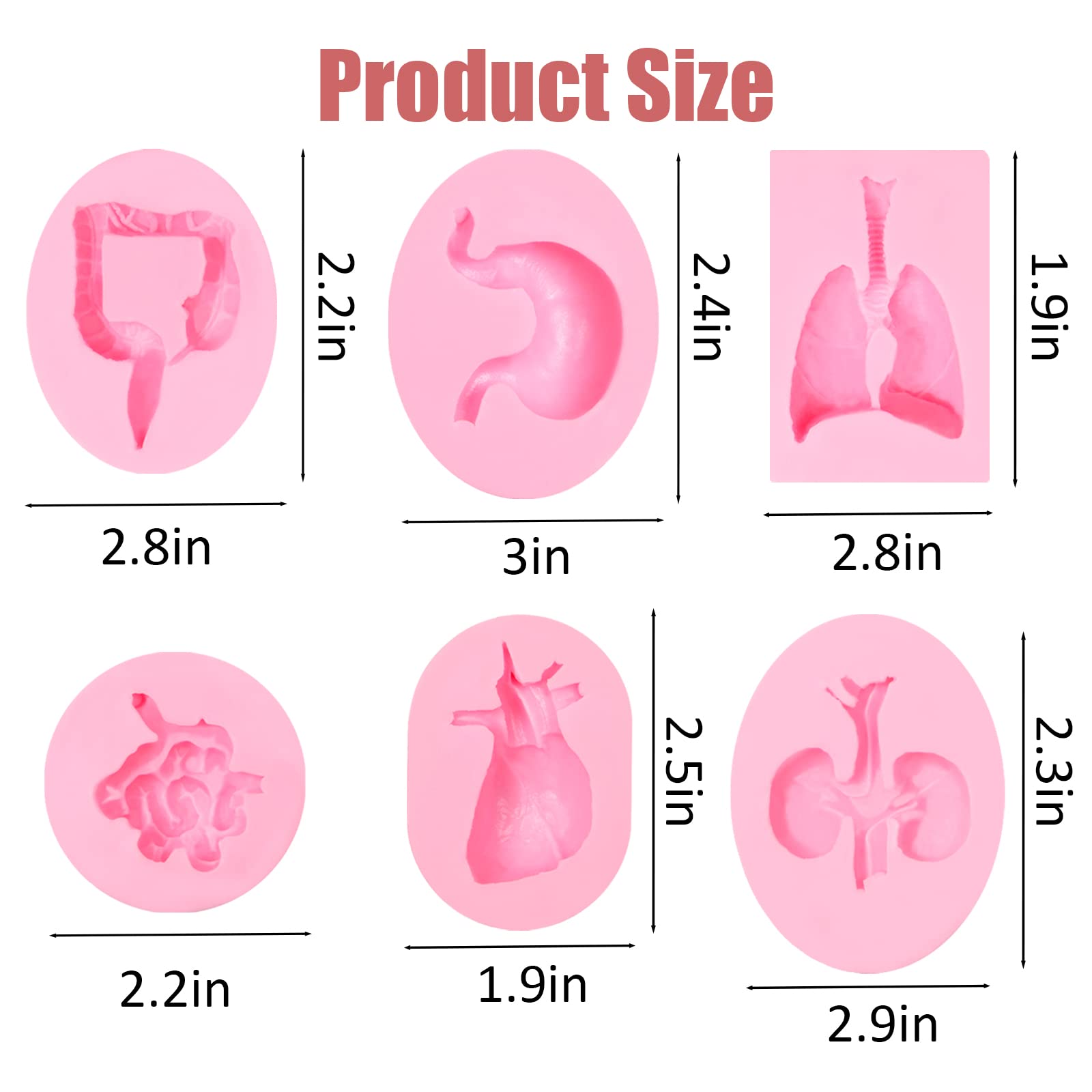 Human Organs Silicone Molds 6 Pcs, Human Organs Shape Silicone Molds Heart Brain Cake Mold Stem Stomach Intestinal Lung Kidney C