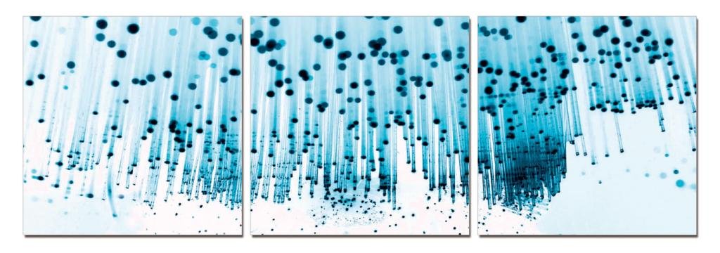 Go Hooked Mdf Wall Painting/Hanging Art/Home Decor (28 Cm X 9 Cm X 28 Cm, 3 Frames, Mdf3Sa-8626)