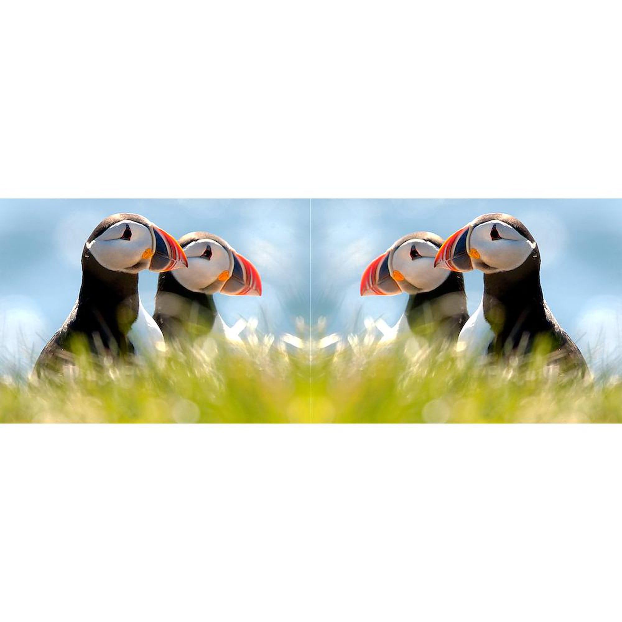 CafePress Puffin Pair Mug 11 oz (325 ml) Ceramic Coffee Mug