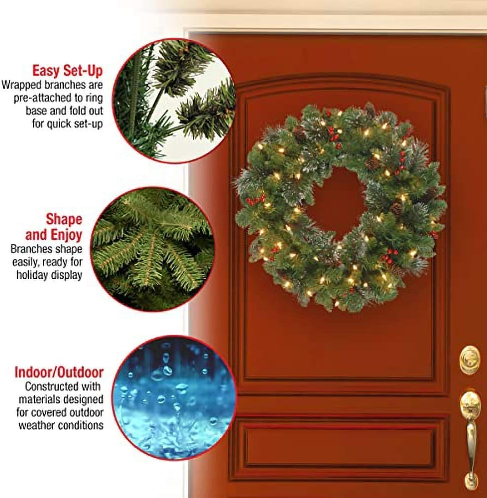 NATIONAL Tree COMPANY 24 Inch Crestwood Spruce Wreath with Silver Bristles, Cones, Red Berries and 50 Battery Operated Soft Whit