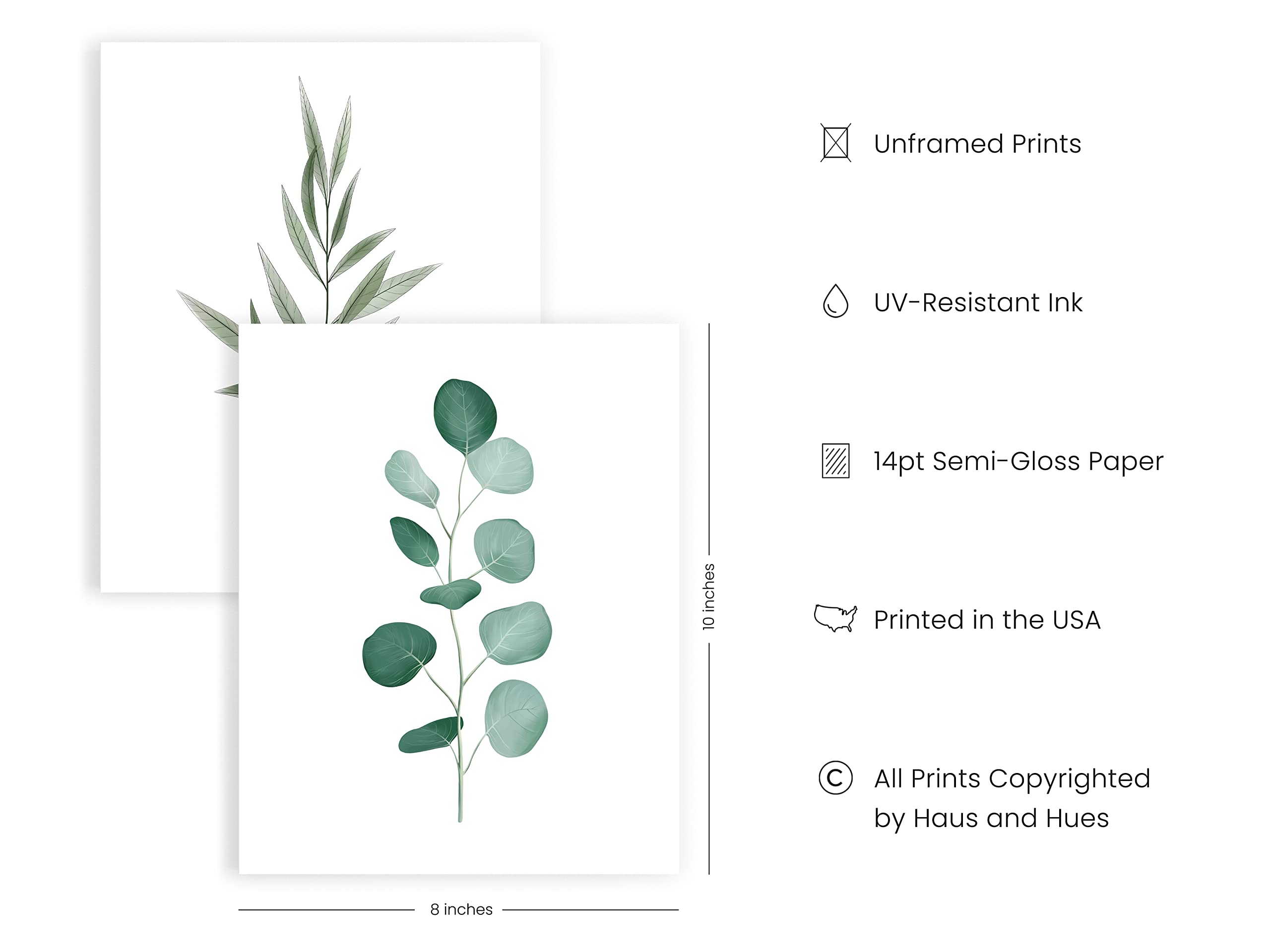 Haus and Hues Plant Wall Art - Botanical Prints Wall Art  Green Wall Art Collection Set  Plant Pictures Wall Art  Leaves Paintings For Wall  Minimalist Wall Art  Sage Green Wall Decor (8x10  UNFRAMED)