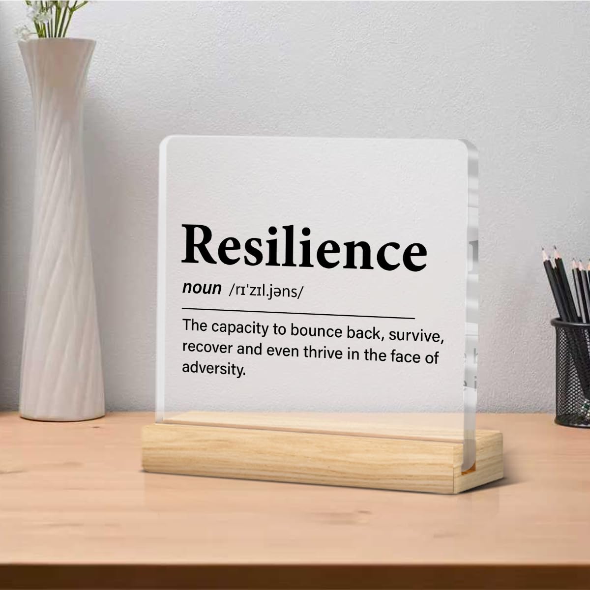 Inspirational Gifts for Women Men, Motivational Encouragement Gifts Resilience Definition Clear Acrylic Desk Decor Decorative Si