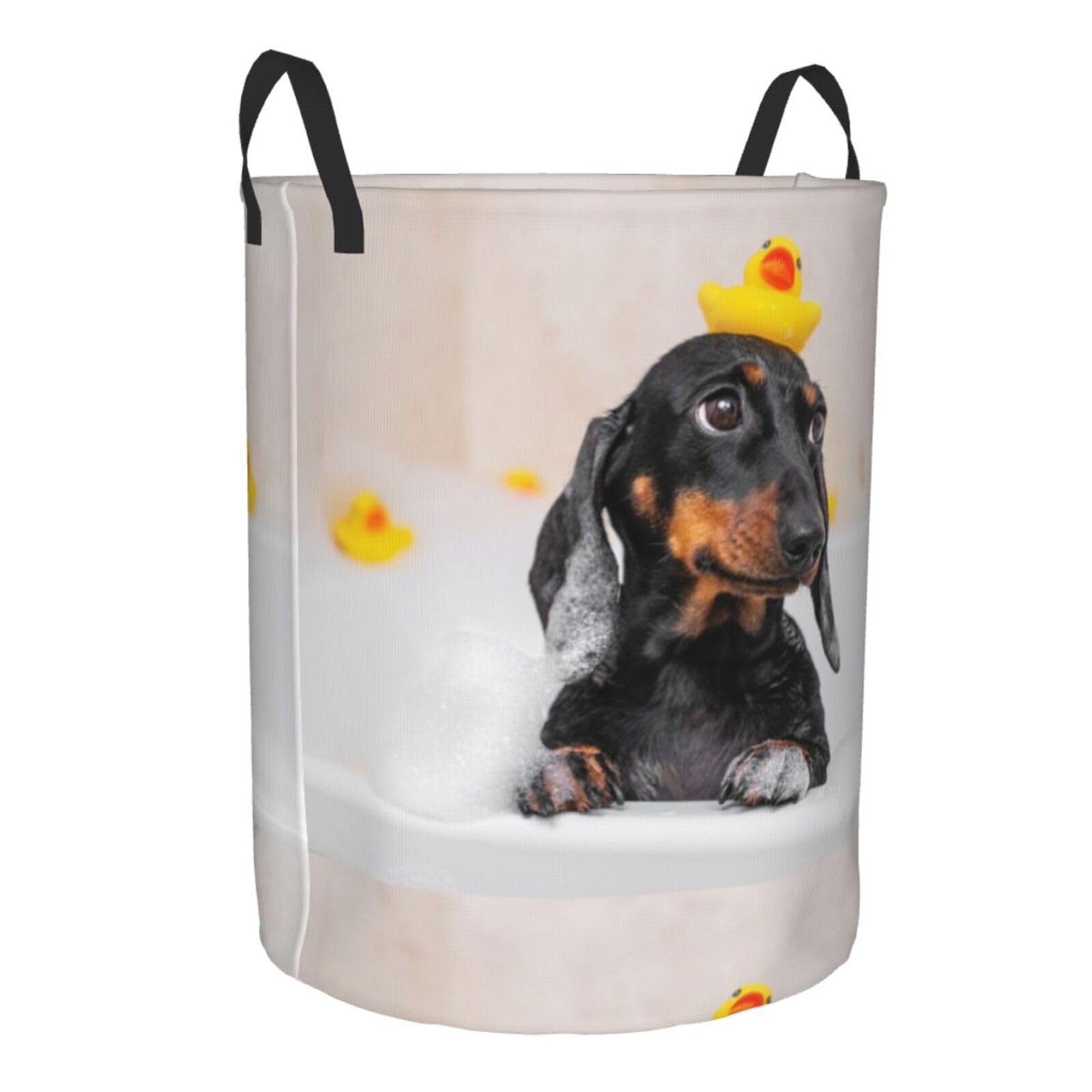 Pevtufa Dachshund Sitting In Bathtub Foldable Laundry Basket Organizer,Fabric Clothes Toy Storage Basket Nursery Hamper Storage