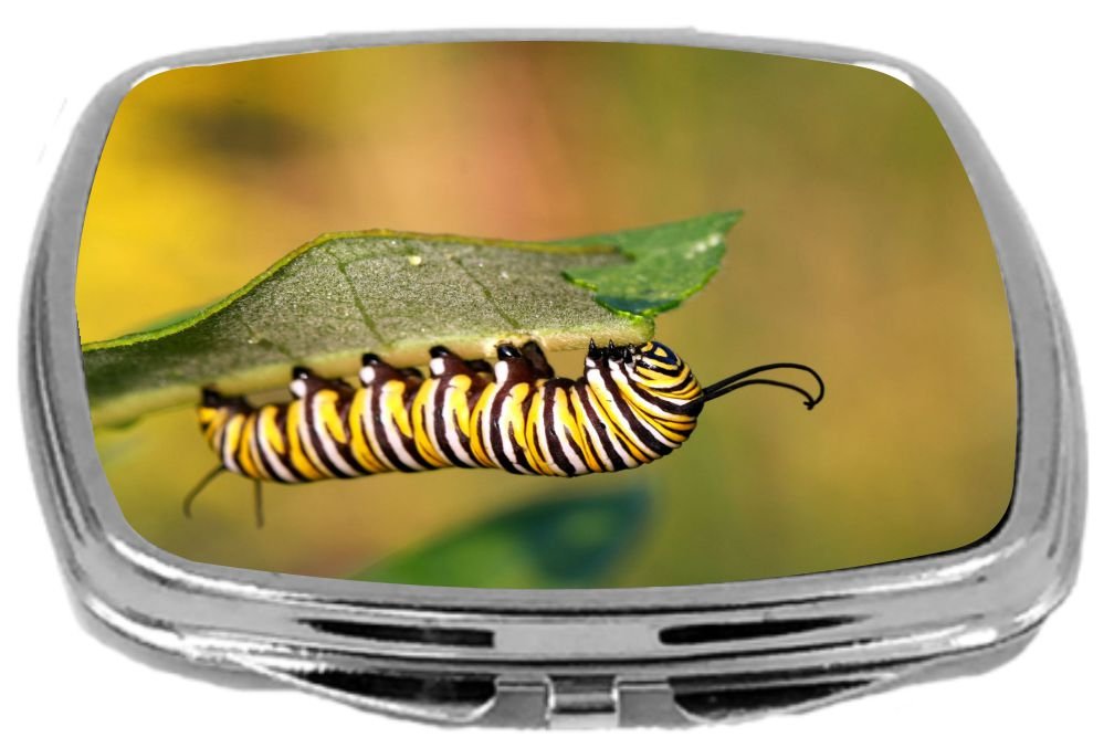 Rikki Knight Compact Mirror, Caterpillar