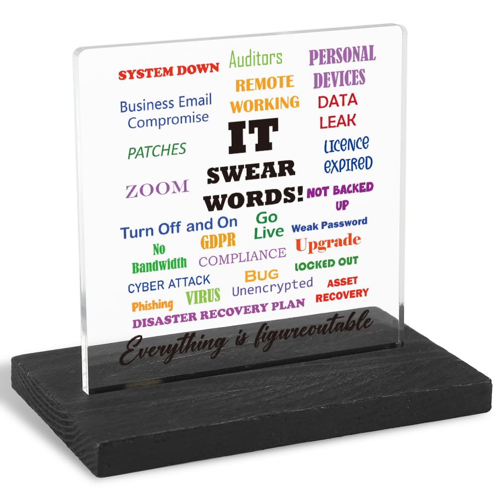 Motivational Office Gifts for Programmer, Positive Affirmation Gifts for Programmer, Modern Transparent Acrylic Desk Plaque with