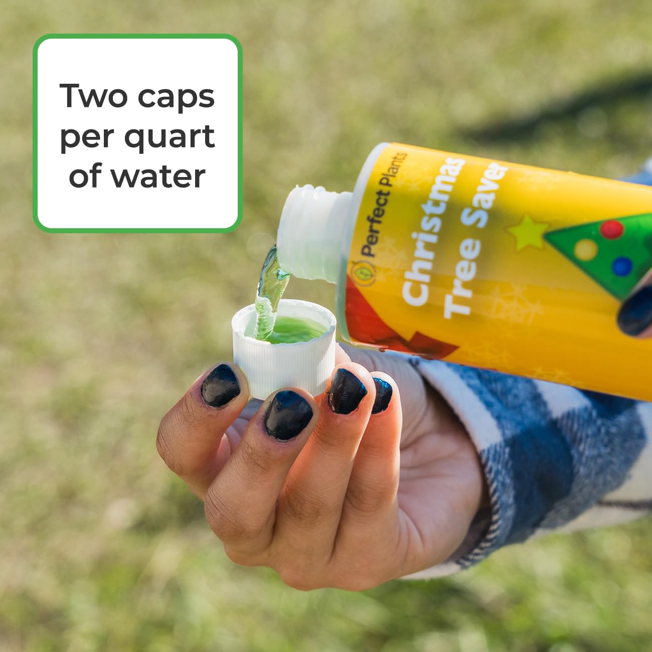 Perfect Plants Christmas Tree Saver 8oz. | Easy Use Xmas Tree Preserver Food | Have Healthy Green Christmas Trees All Holiday Se