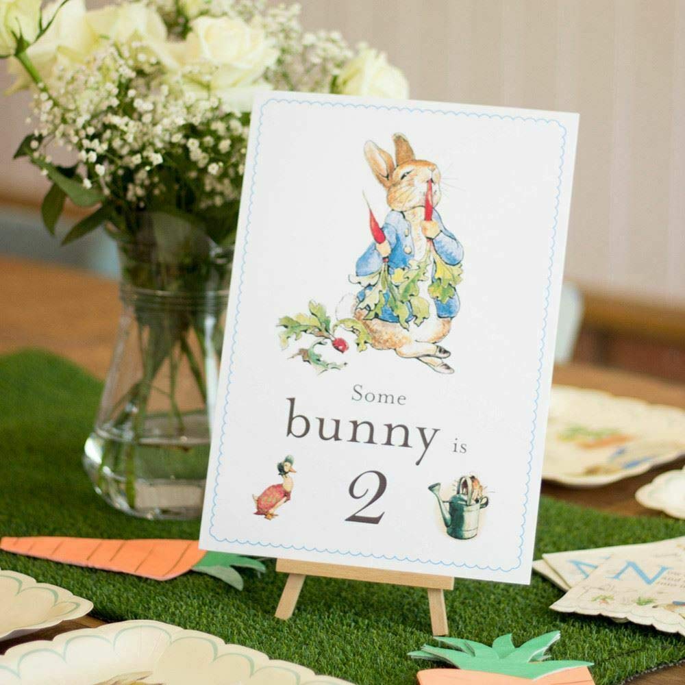 Peter Rabbit 'Some Bunny is 2' Card and Easel 2nd Birthday Decoration Sign