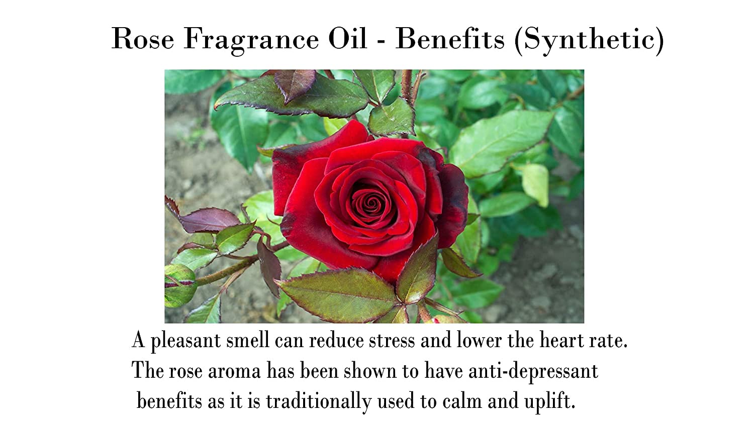 Pure Indian Candle Hand Poured Rose Scented Pillar Candles (50 Hrs Burn Time)