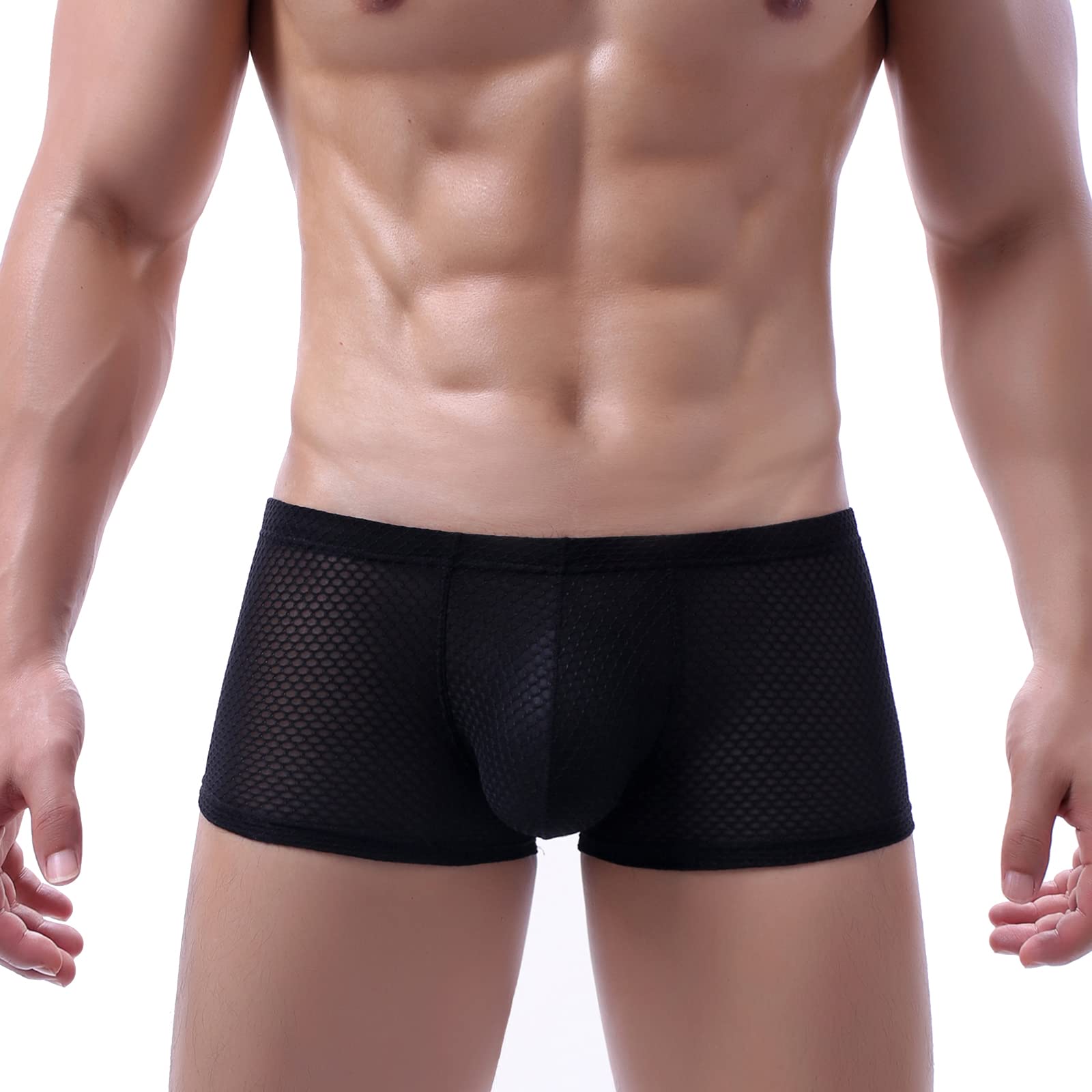 Evankin Men Breathable Underwear See Through Sexy Boxer Briefs Mesh Male Soft Bikini Cool Boxers(Black,L)