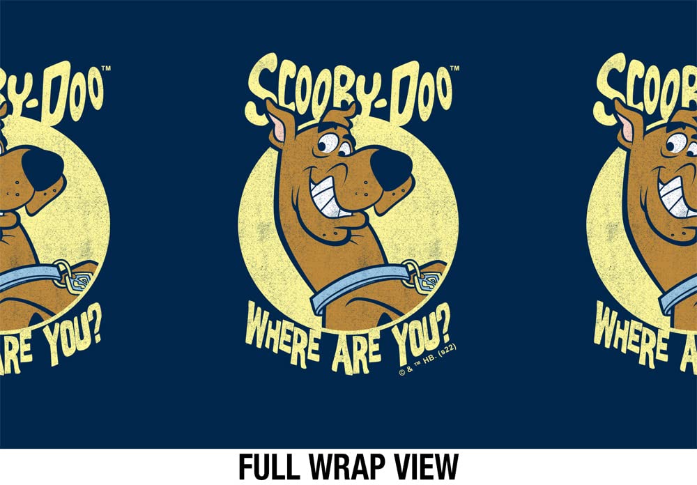 Scooby Doo! Official Where Are You 18 Oz Insulated Water Bottle, Leak Resistant, Vacuum Insulated Stainless Steel With 2-In-1 Lo