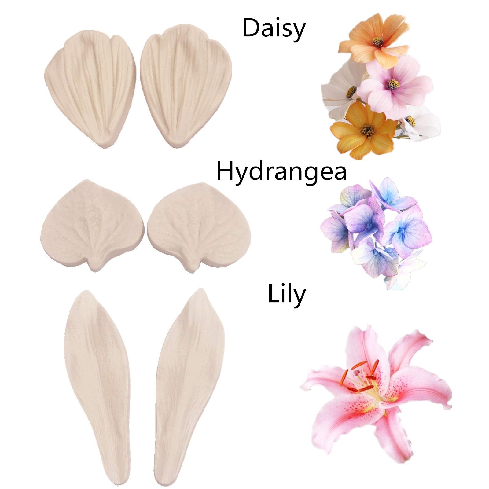 12Set Gumpaste Flower Molds,Fondant Flower Molds, Silicone Veining Molds,Sugar Flower Making Tools For Fondant Chocolate Soap Po