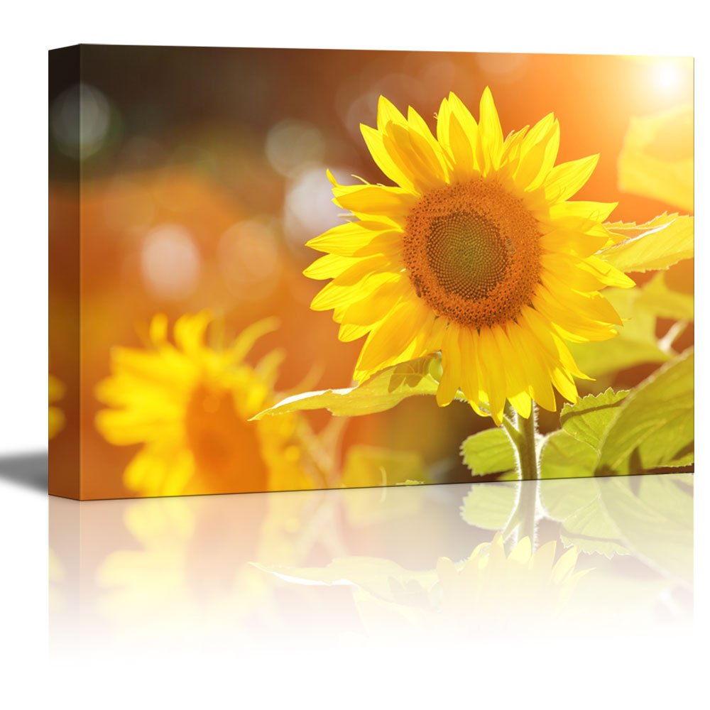 Canvas Prints Wall Art - Big Beautiful Yellow Sunflowers In A Sunny Day | Modern Wall Decor/Home Decoration Stretched Gallery Ca