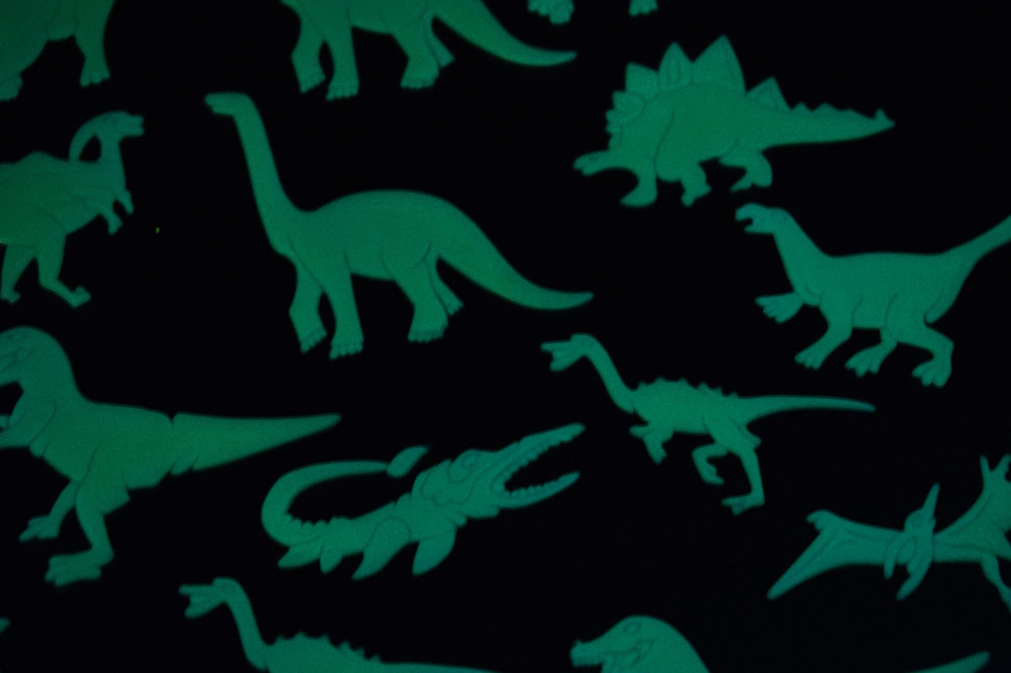 Directglow 18 Piece Glow In The Dark Dinosaurs Wall Ceiling Decor