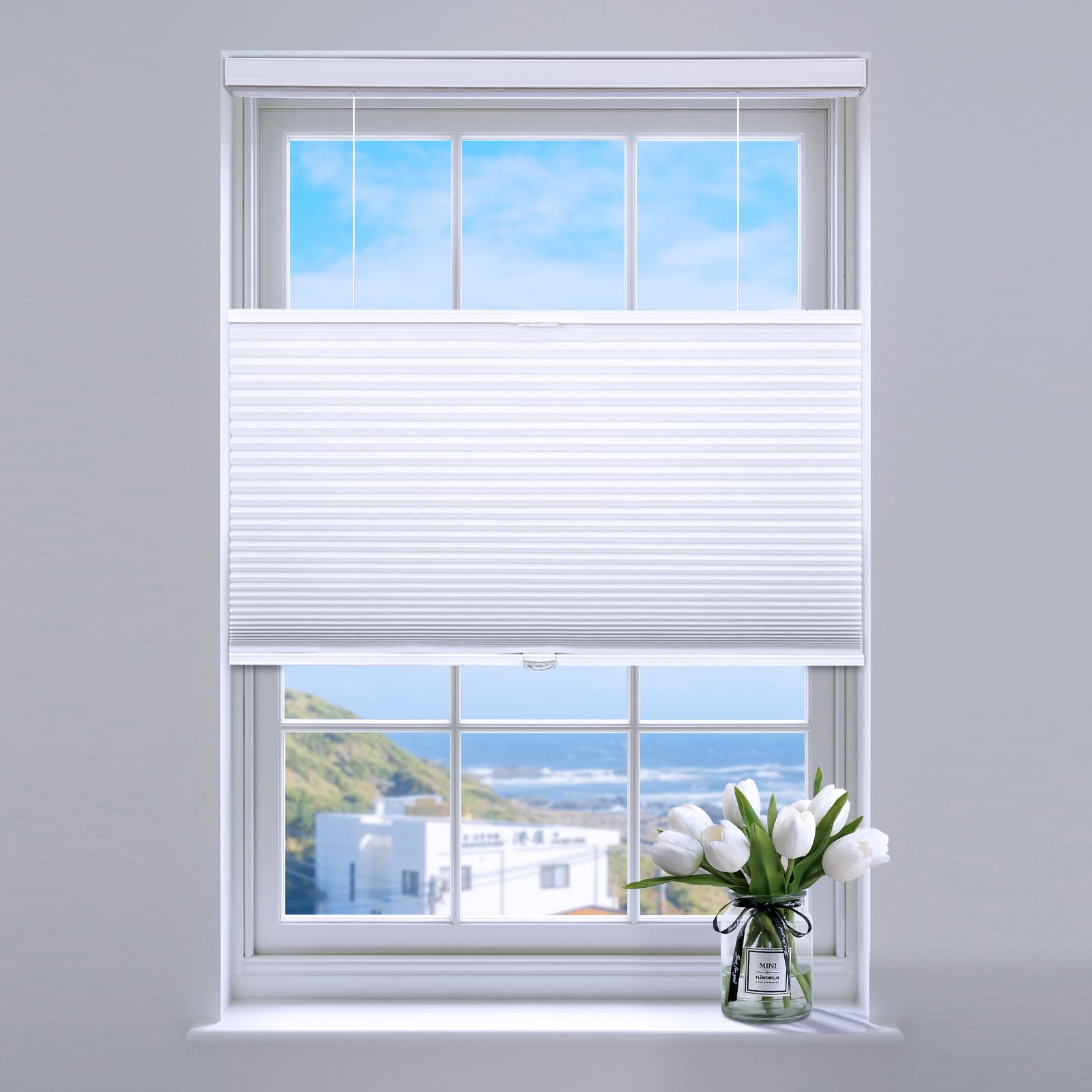 SUNFREE Top Down Bottom Up Cellular Blinds,Cellular Shades Blackout, Honeycomb Window Shade for Windows, 36 W x 64 H, White(Blac