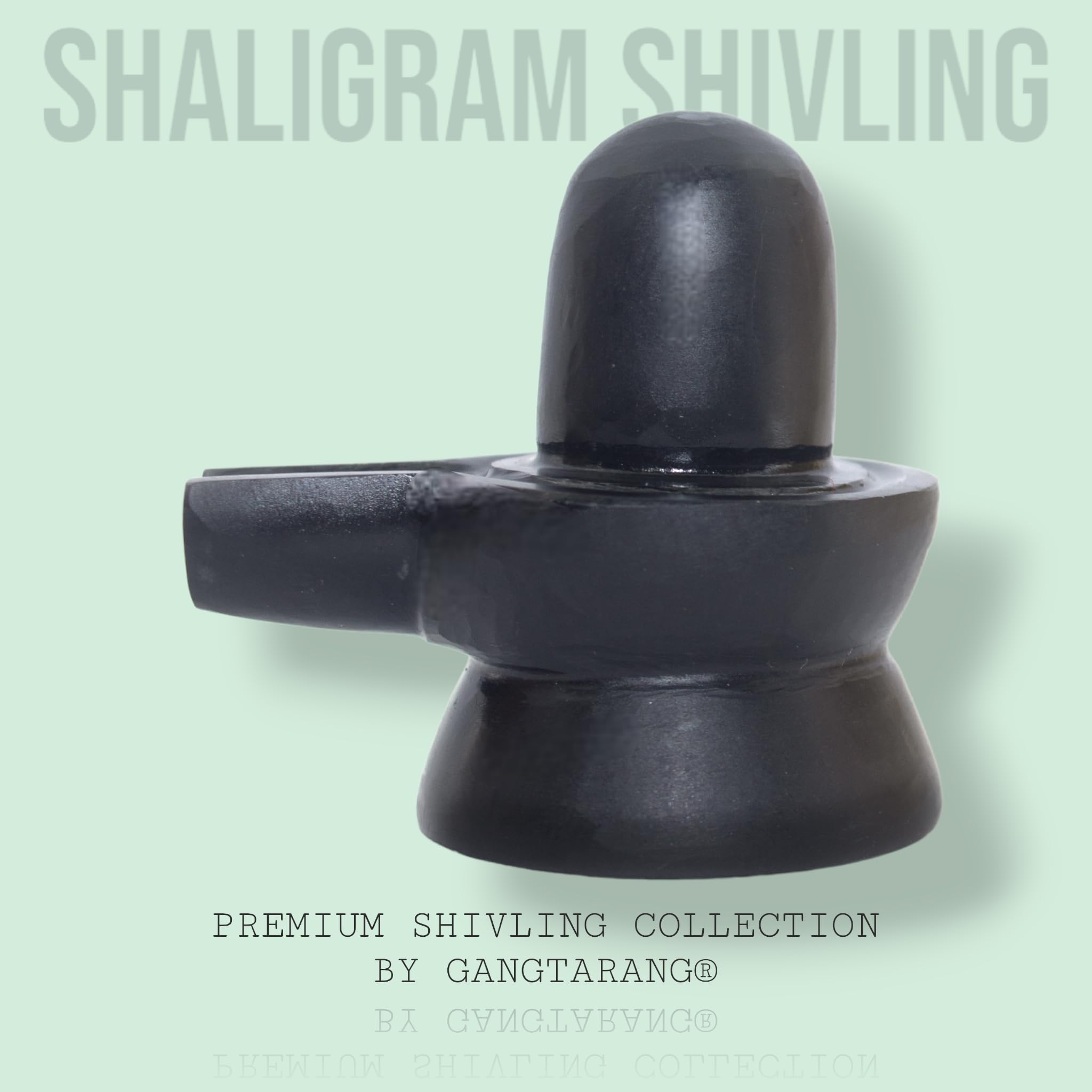 Gangtarang Shaligram Shivling | From Nepal Gandaki River | Carved On Shaligram Stone, Black (100G)